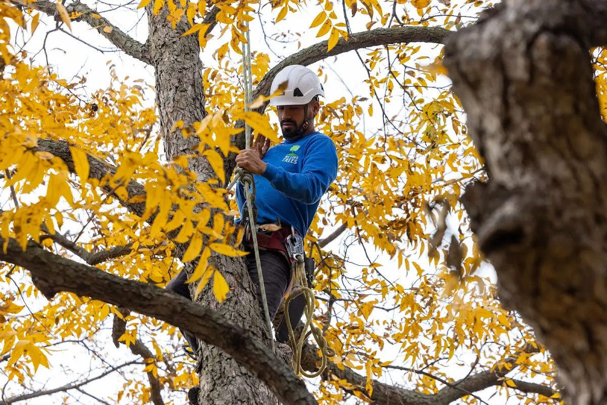 Skilled Storm Damage Cleanup crew working in Bigelow